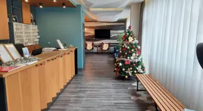 Falling Star Apartman Brzece - Image 2
