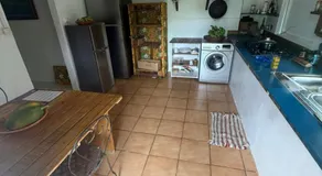 Digital Nomad Polynesian Shelter - Image 4