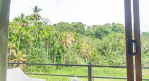 Villa Paddy Breeze by Taprobana Rome - Image 4