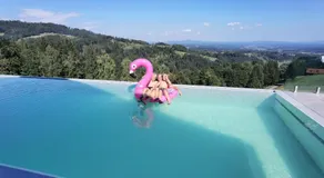 Chalet-Südsteiermark - traumhafte Aussicht, Infinity Pool, Privatsphäre, Klima und de-luxe Ausstattung - Image 5