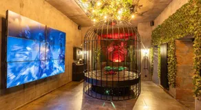 INTENSE Senses Experience - Suites wellness avec piscine, jacuzzi, sauna, billard etc - Image 2