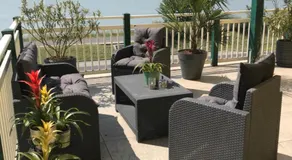 Johnys Jungle - Image 3