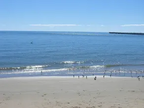 1 BDR/Apt/Foxtel/WiFi/Pool/parking/Spa/Hervey Bay - Image 5
