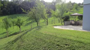Grajsko - Image 3