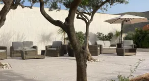 Olea - Image 3