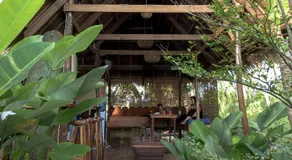 Single Fin Siargao - Image 3