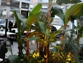 Hotel-Café Kampe - Image 5