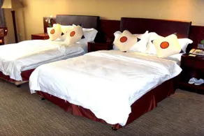 Yosemite Hotel - Image 5