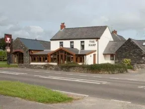 The Harp at Letterston - Image 4