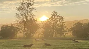 Landgoedboerderij Oosterheerdt - Image 4