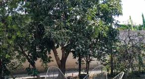 Puñadito de descanso - Image 4