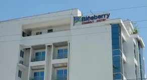 Blueberry Tourist Hotel - Image 5