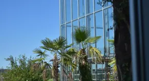 Palmengarten - Image 5