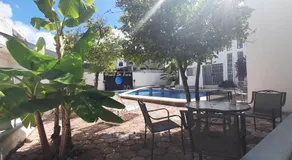Claro de Luna - Image 4
