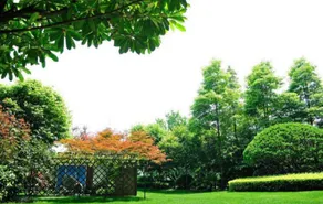 Chengdu Bormann Boutique Apartments - Image 4