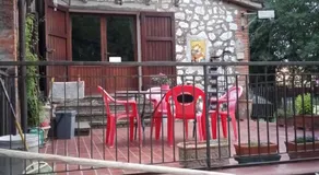 Tra grilli e cicale - Image 5