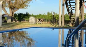 Finca La Pichona - Image 3