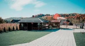 Casa Dumitru - Image 5