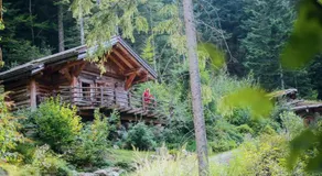 Amour de Chalet - Clairière aux cabanes - Bol d'air - Image 5