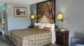 Palmetto Inn - Image 2