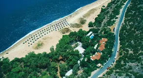Golden Sand - Image 5
