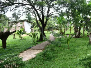 Mihini Hotel - Image 5