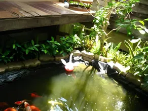 Baan ChanKhiang at ChiangKhan - Image 3