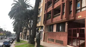 Piso Lagunero Acogedor - Image 4