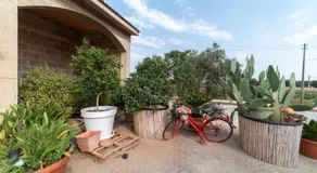 Dimora Onda Verde - Image 3