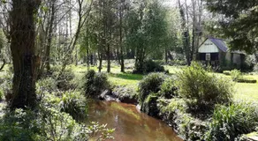 Le vieux moulin - Image 5