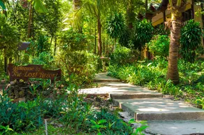 Lost Resort - Image 5