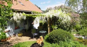 Incantevole camera privata con giardino | Vista sulla natura - Image 3