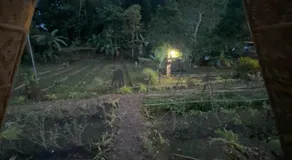 Kubo Ni Cesar - Image 4