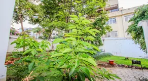 Wafeh Guest House - Fleming - Bar & Jardim - Image 1
