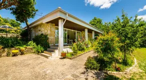 Casa de Campo - Olive House - Image 5