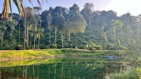 GandharCool Homestay - Image 3