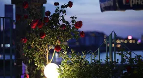 Hotel Lozite - Image 5