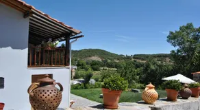 Alformil - Image 5