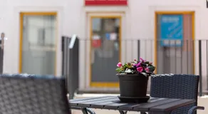 Apartman Zvane - Image 3