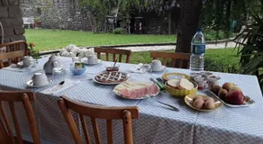 La collina degli olivi - Image 4