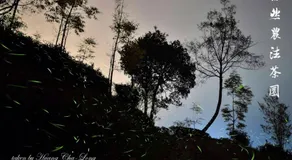 Jinguang Homestay - Image 4