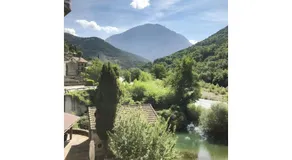 Nogal - Image 5