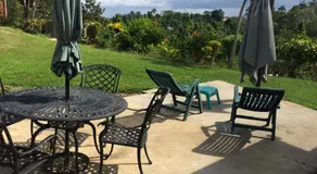 Teresinajamaica - Image 2