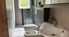 Zwei Buchen - Image 2