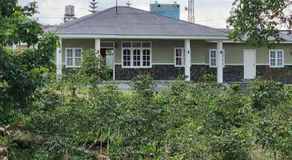 Porlak Hebron Family Homestay Silangit - Image 5