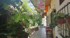 Nirvana Apartament Hostal - Image 3