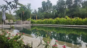 Homestay - Image 4
