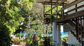 El Pargo Feliz - Image 4