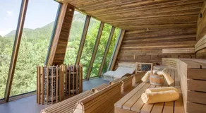 Vivea Hotel Bad Bleiberg - Image 4