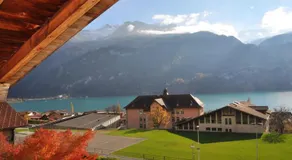 Villa Monkey - Image 4